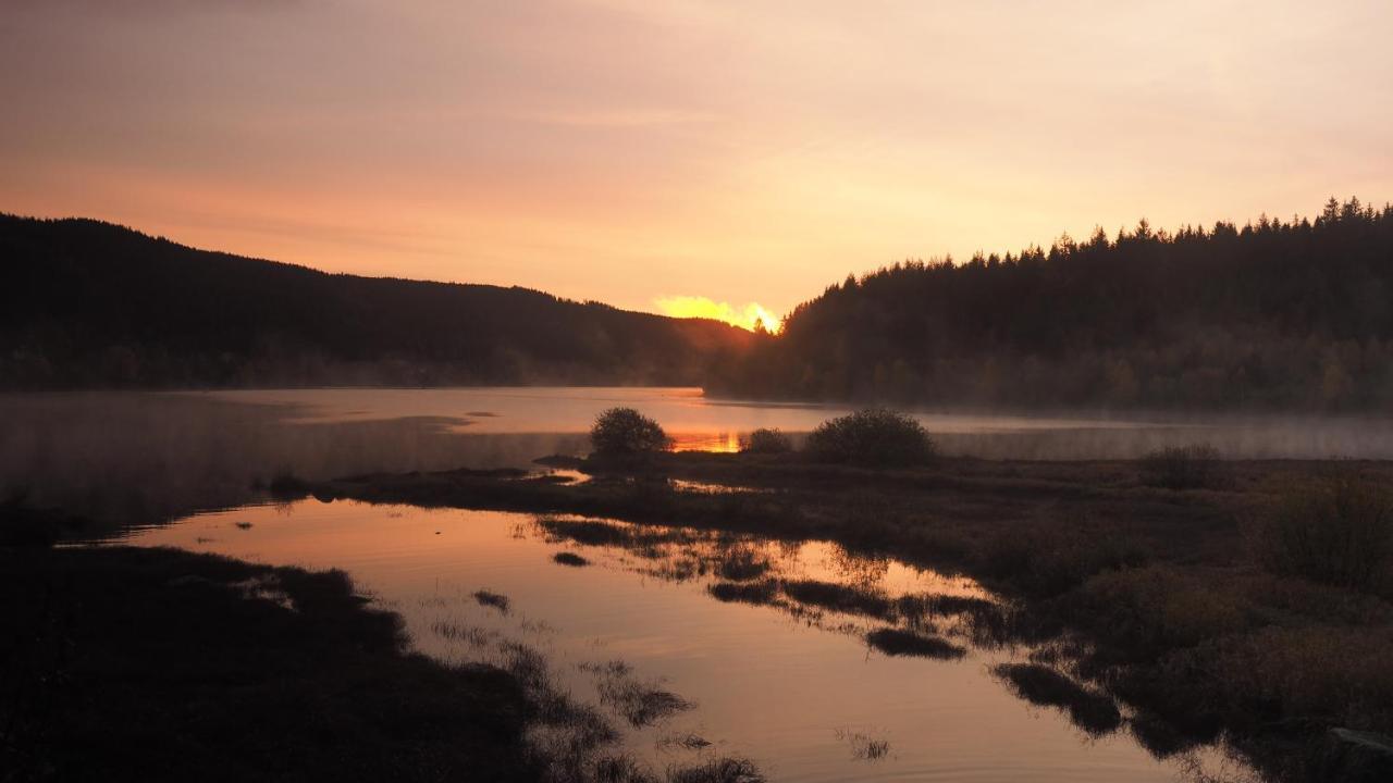 C3 Albmatte-Fewo Sauna, Hallenbad Aussenbecken Massagen Nebenan Sankt Blasien Exteriör bild