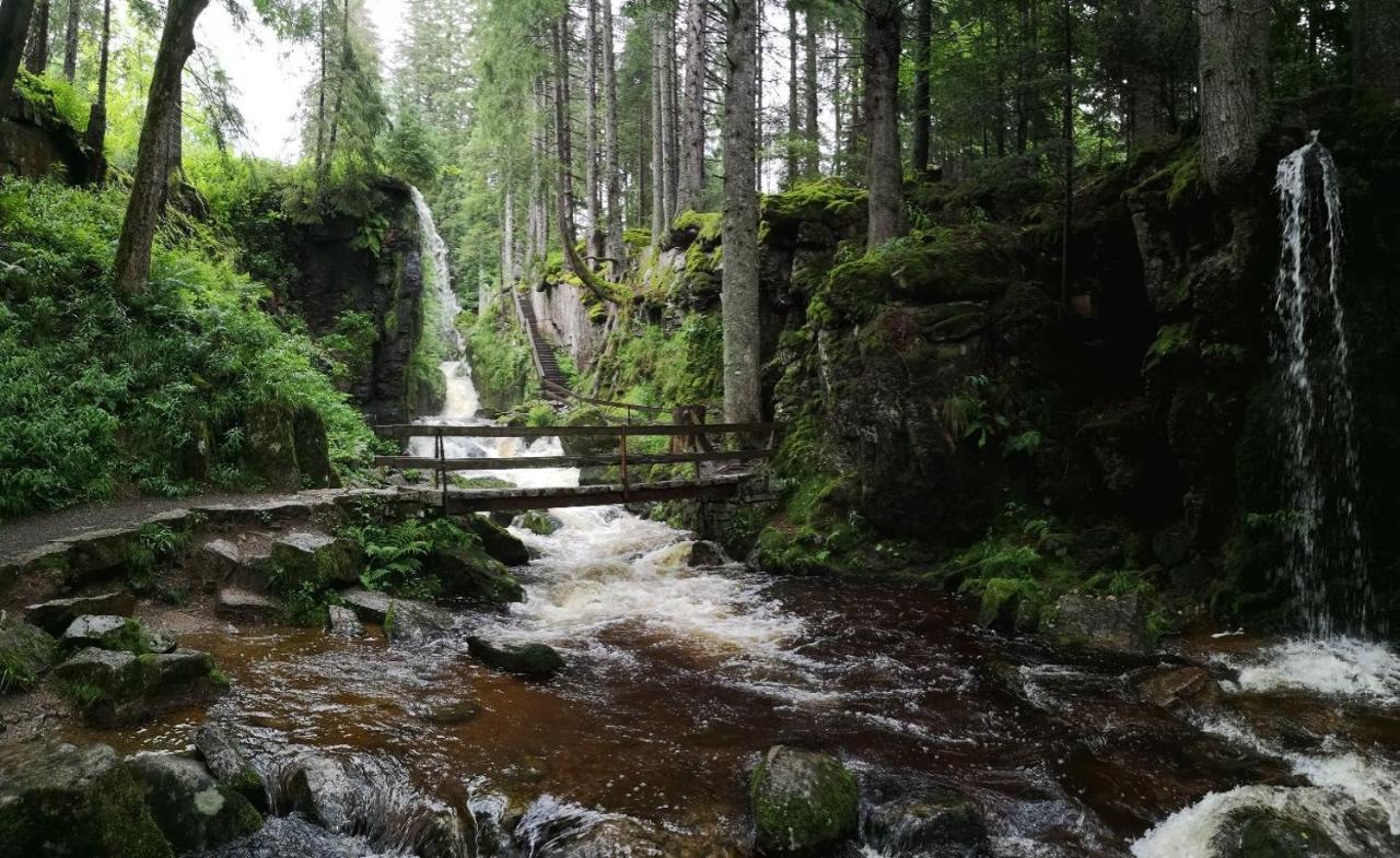 C3 Albmatte-Fewo Sauna, Hallenbad Aussenbecken Massagen Nebenan Sankt Blasien Exteriör bild
