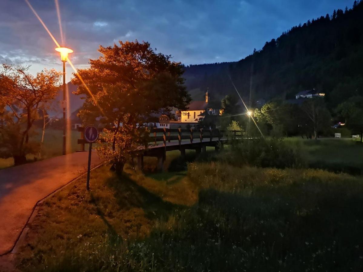 C3 Albmatte-Fewo Sauna, Hallenbad Aussenbecken Massagen Nebenan Sankt Blasien Exteriör bild