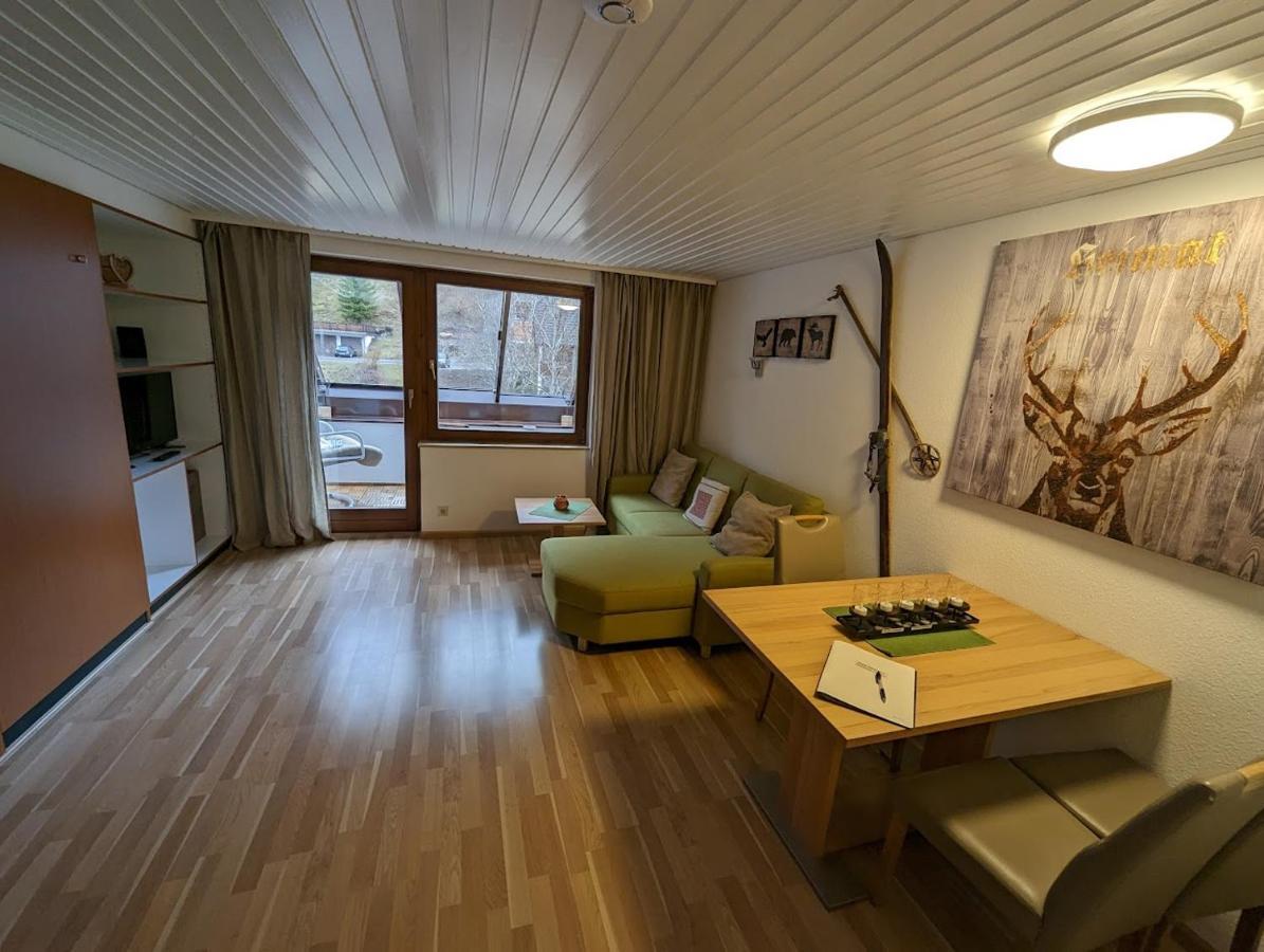 C3 Albmatte-Fewo Sauna, Hallenbad Aussenbecken Massagen Nebenan Sankt Blasien Exteriör bild