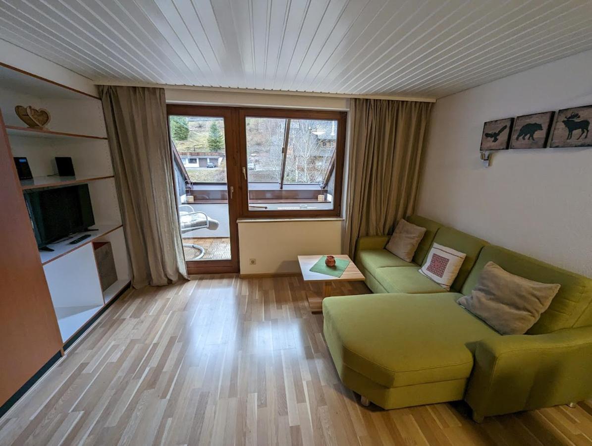 C3 Albmatte-Fewo Sauna, Hallenbad Aussenbecken Massagen Nebenan Sankt Blasien Exteriör bild