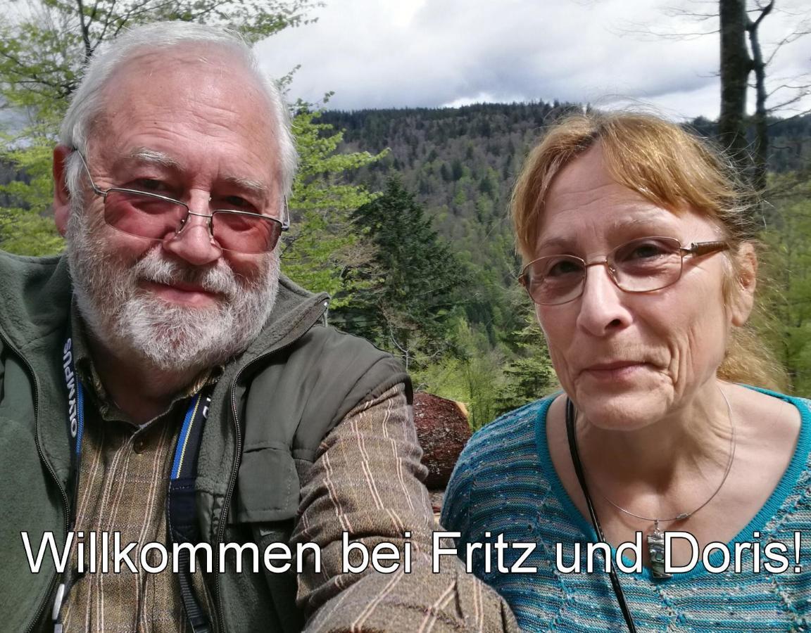 C3 Albmatte-Fewo Sauna, Hallenbad Aussenbecken Massagen Nebenan Sankt Blasien Exteriör bild