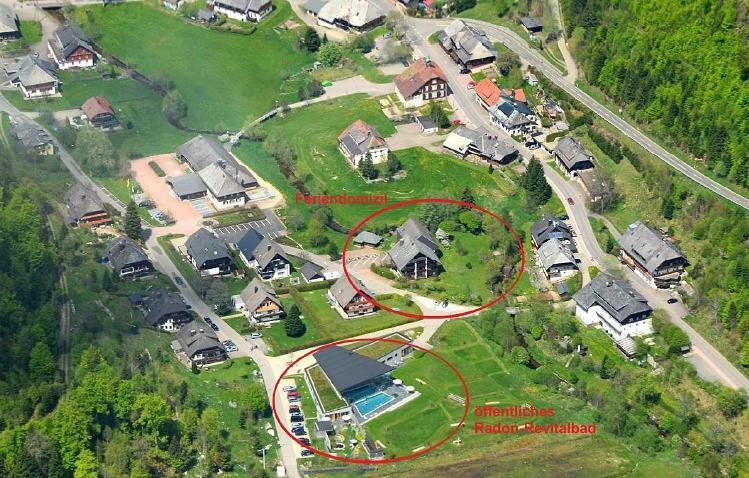 C3 Albmatte-Fewo Sauna, Hallenbad Aussenbecken Massagen Nebenan Sankt Blasien Exteriör bild