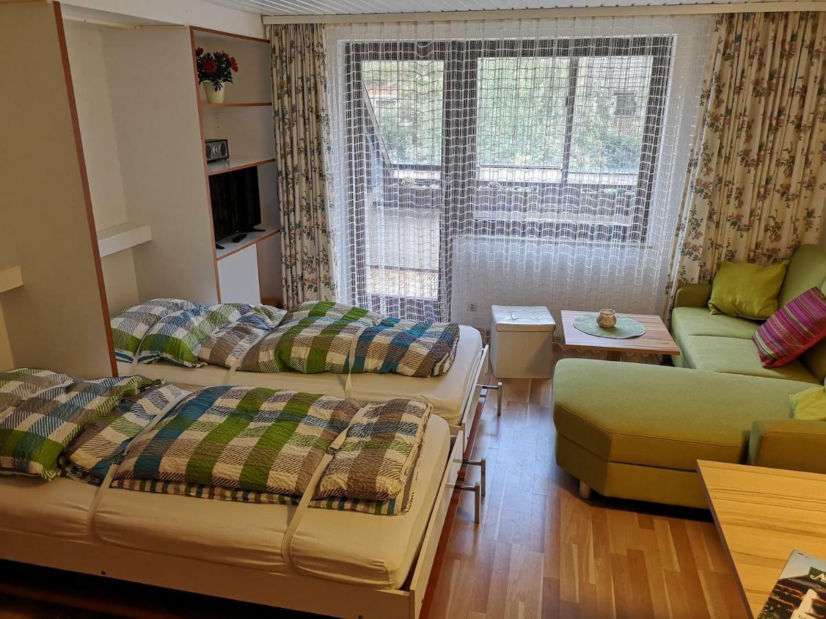 C3 Albmatte-Fewo Sauna, Hallenbad Aussenbecken Massagen Nebenan Sankt Blasien Exteriör bild