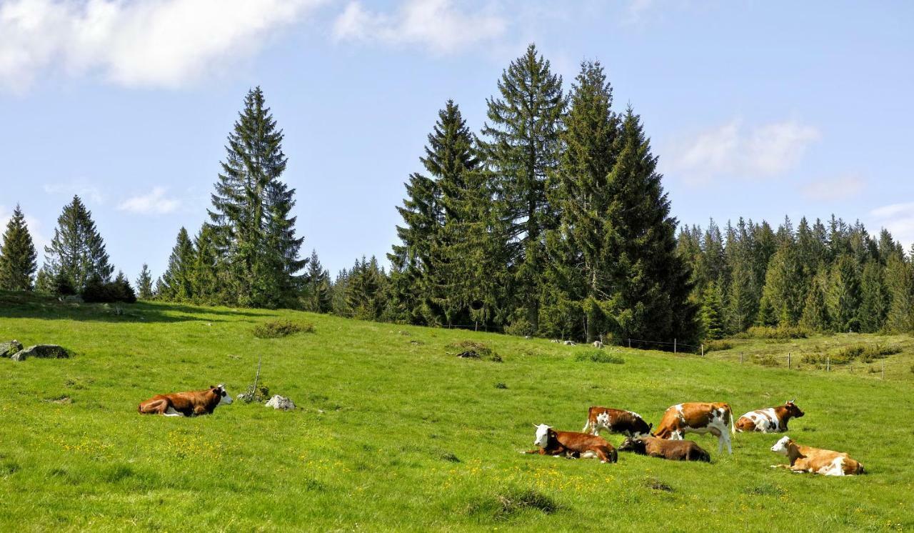 C3 Albmatte-Fewo Sauna, Hallenbad Aussenbecken Massagen Nebenan Sankt Blasien Exteriör bild