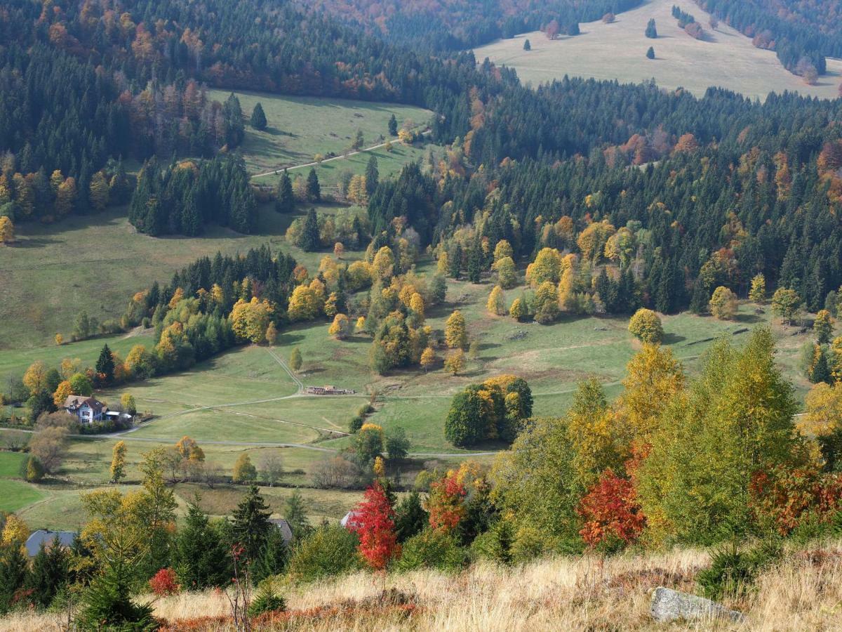 C3 Albmatte-Fewo Sauna, Hallenbad Aussenbecken Massagen Nebenan Sankt Blasien Exteriör bild