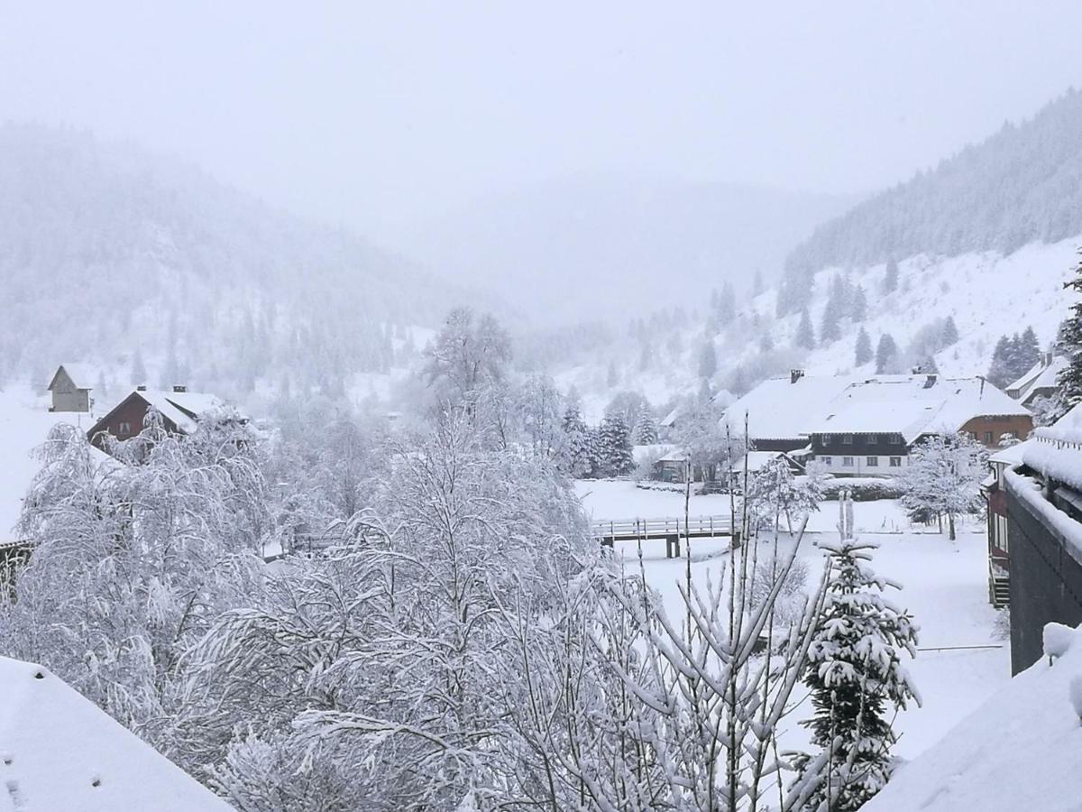 C3 Albmatte-Fewo Sauna, Hallenbad Aussenbecken Massagen Nebenan Sankt Blasien Exteriör bild