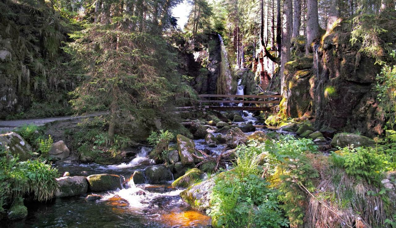 C3 Albmatte-Fewo Sauna, Hallenbad Aussenbecken Massagen Nebenan Sankt Blasien Exteriör bild