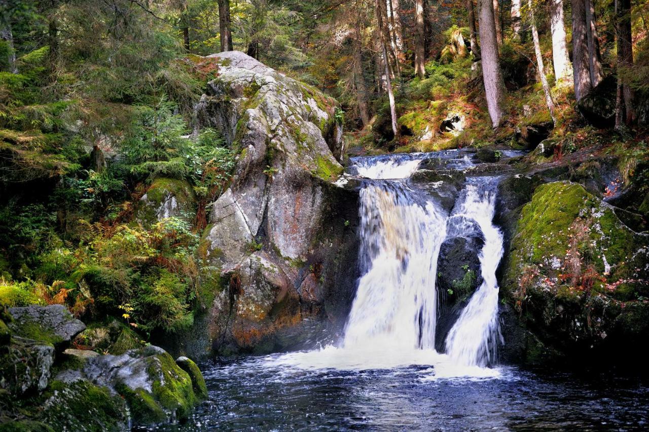 C3 Albmatte-Fewo Sauna, Hallenbad Aussenbecken Massagen Nebenan Sankt Blasien Exteriör bild