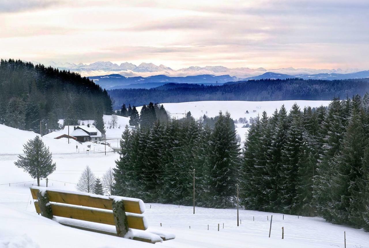 C3 Albmatte-Fewo Sauna, Hallenbad Aussenbecken Massagen Nebenan Sankt Blasien Exteriör bild