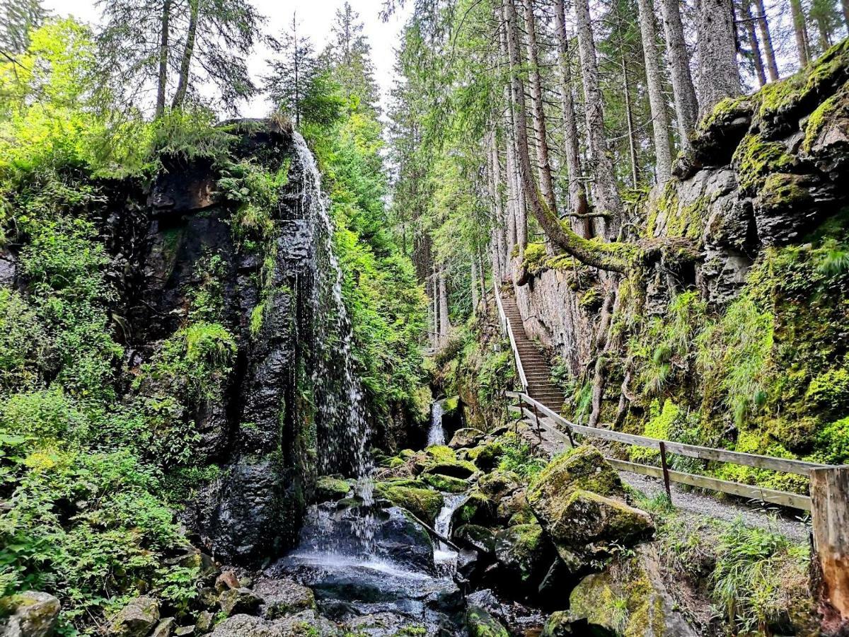 C3 Albmatte-Fewo Sauna, Hallenbad Aussenbecken Massagen Nebenan Sankt Blasien Exteriör bild
