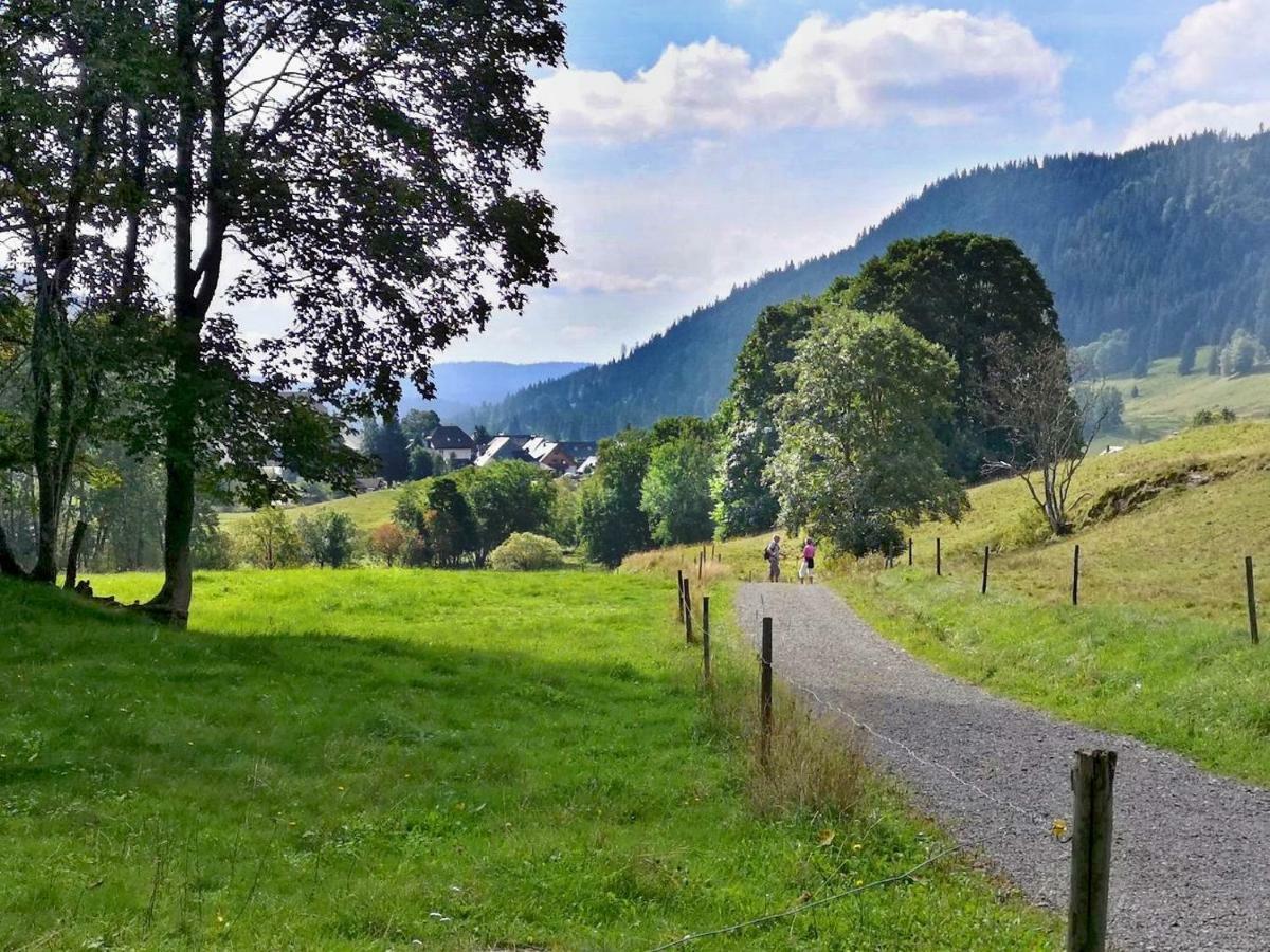 C3 Albmatte-Fewo Sauna, Hallenbad Aussenbecken Massagen Nebenan Sankt Blasien Exteriör bild