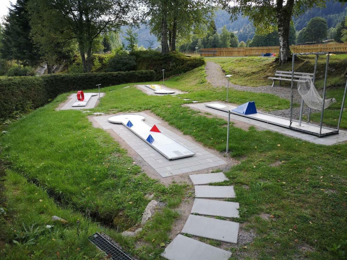 C3 Albmatte-Fewo Sauna, Hallenbad Aussenbecken Massagen Nebenan Sankt Blasien Exteriör bild