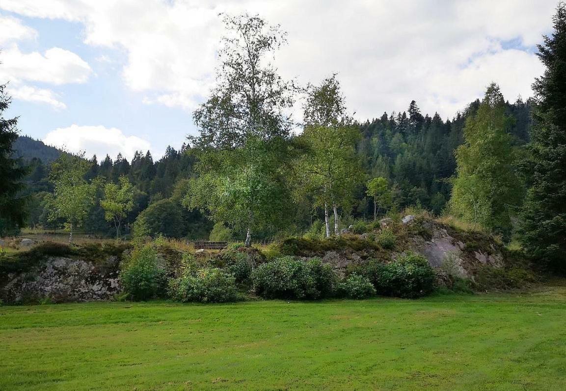 C3 Albmatte-Fewo Sauna, Hallenbad Aussenbecken Massagen Nebenan Sankt Blasien Exteriör bild
