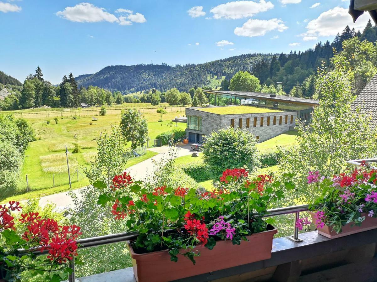C3 Albmatte-Fewo Sauna, Hallenbad Aussenbecken Massagen Nebenan Sankt Blasien Exteriör bild