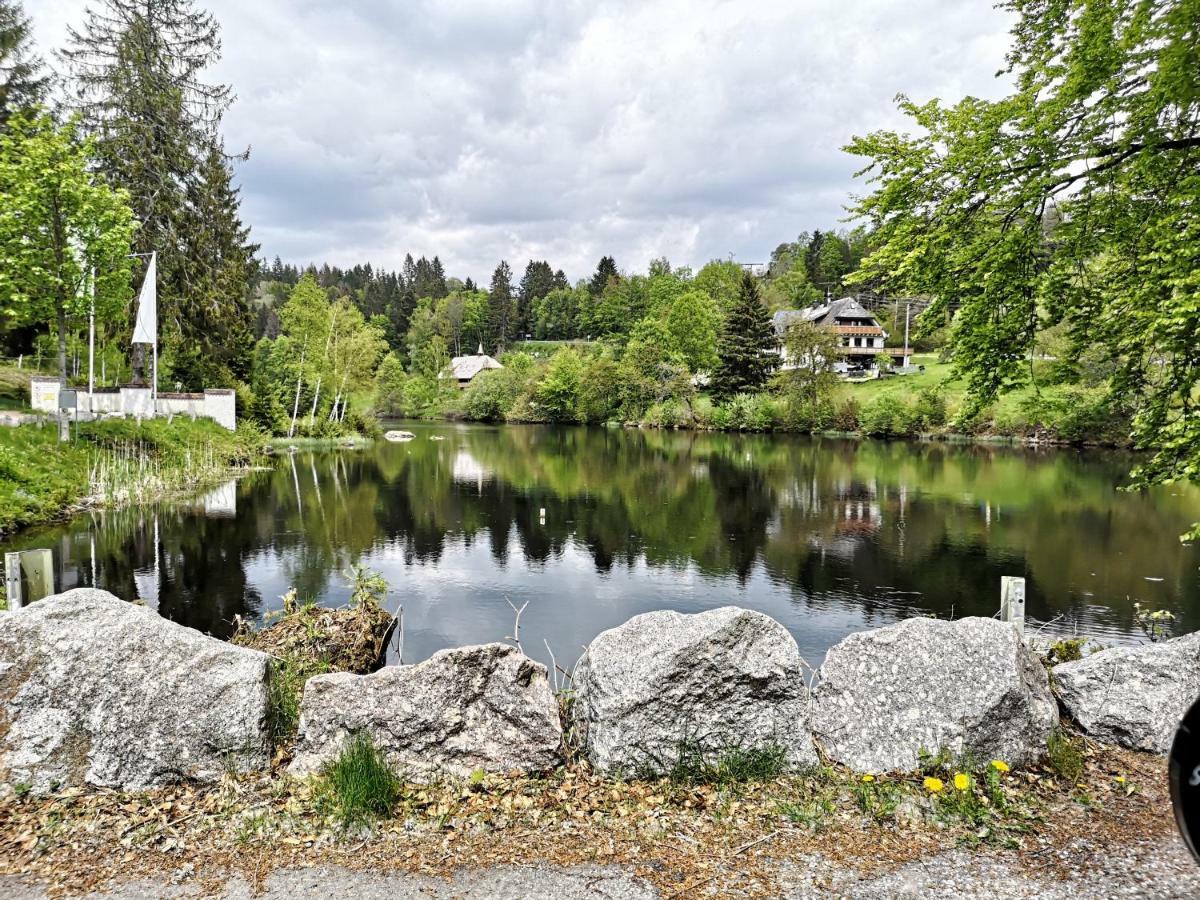 C3 Albmatte-Fewo Sauna, Hallenbad Aussenbecken Massagen Nebenan Sankt Blasien Exteriör bild