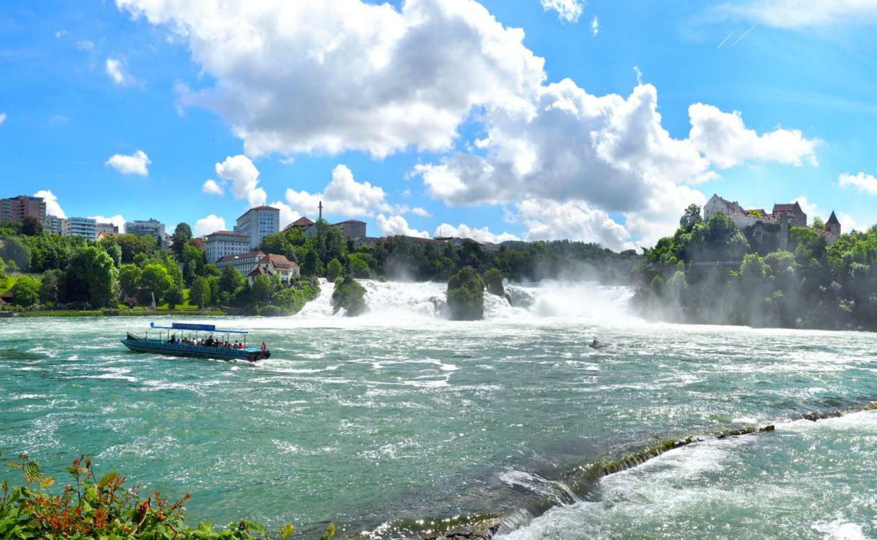 C3 Albmatte-Fewo Sauna, Hallenbad Aussenbecken Massagen Nebenan Sankt Blasien Exteriör bild